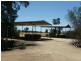 Finley NSW 2713