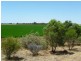 Finley NSW 2713
