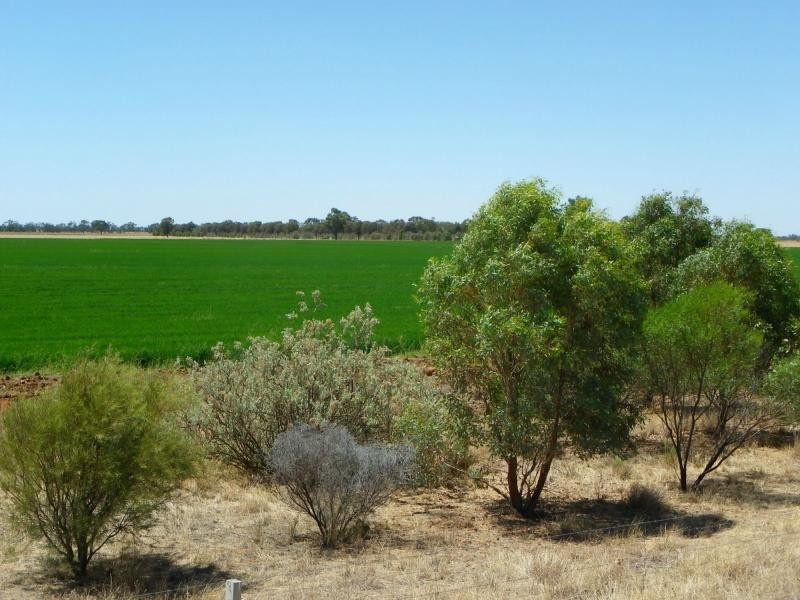 Finley NSW 2713