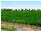 Finley NSW 2713