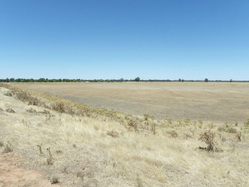 Finley NSW 2713