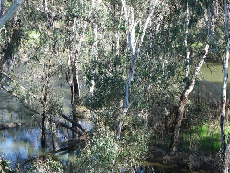 Howlong NSW 2643