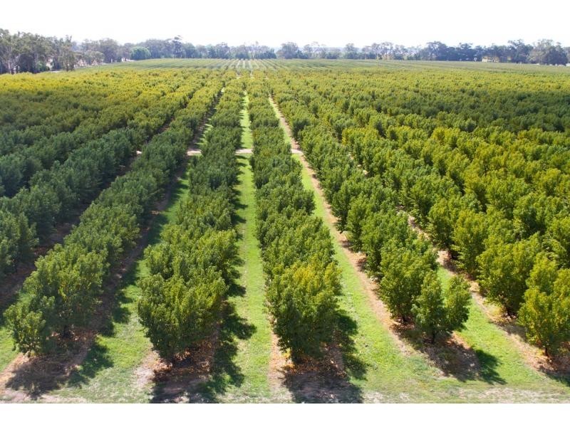 126 Tom O’Brien Road, Yarroweyah VIC 3644