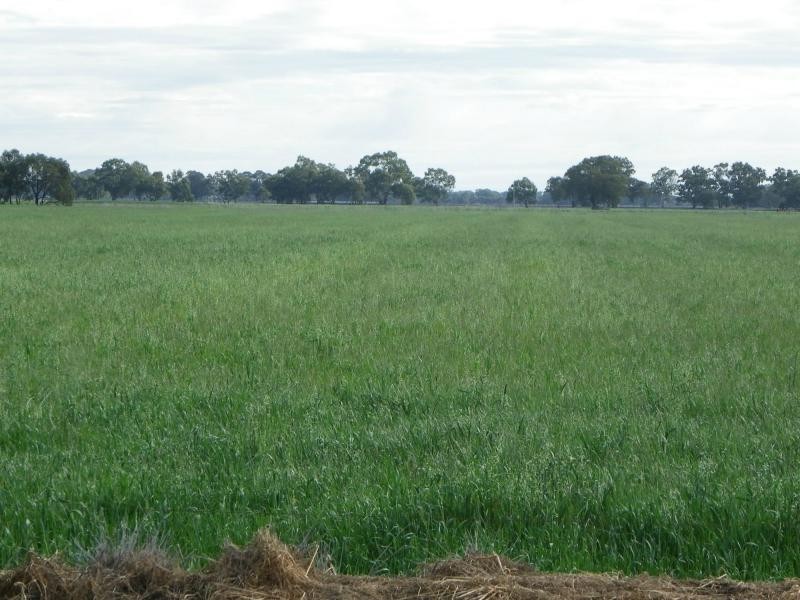 Yarroweyah VIC 3644