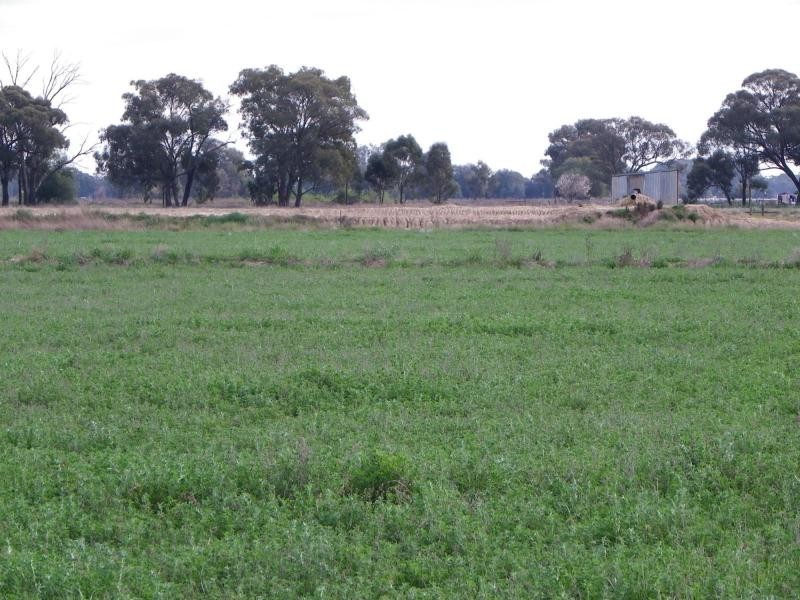 Yarroweyah VIC 3644