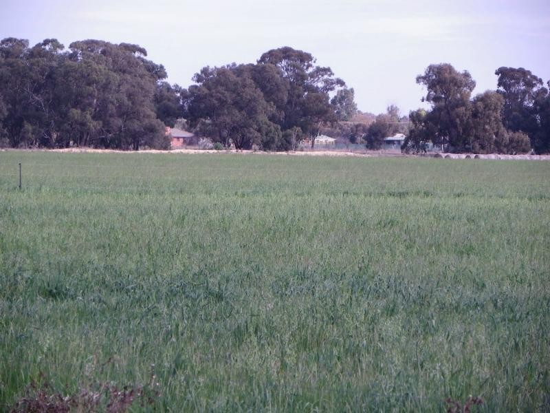Yarroweyah VIC 3644