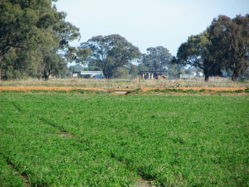 Yarroweyah VIC 3644