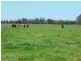 Cobram VIC 3644