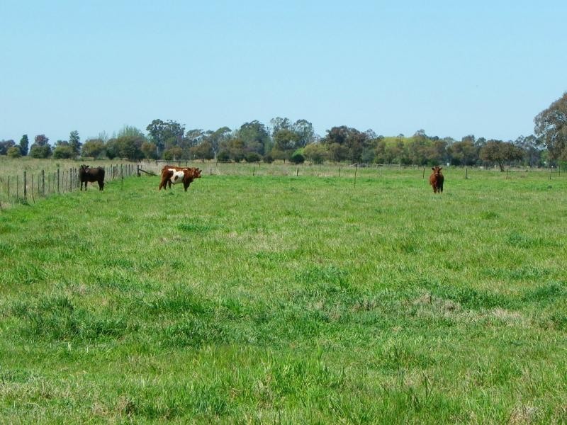 Cobram VIC 3644