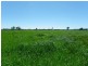 Cobram VIC 3644