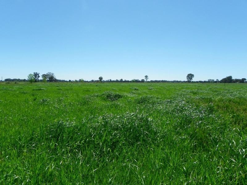 Cobram VIC 3644
