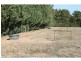 11 Catona Crescent, Cobram VIC 3644