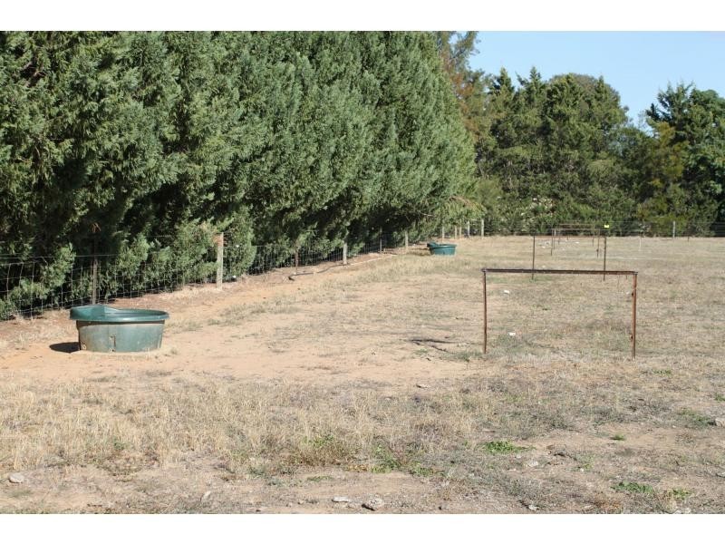 11 Catona Crescent, Cobram VIC 3644