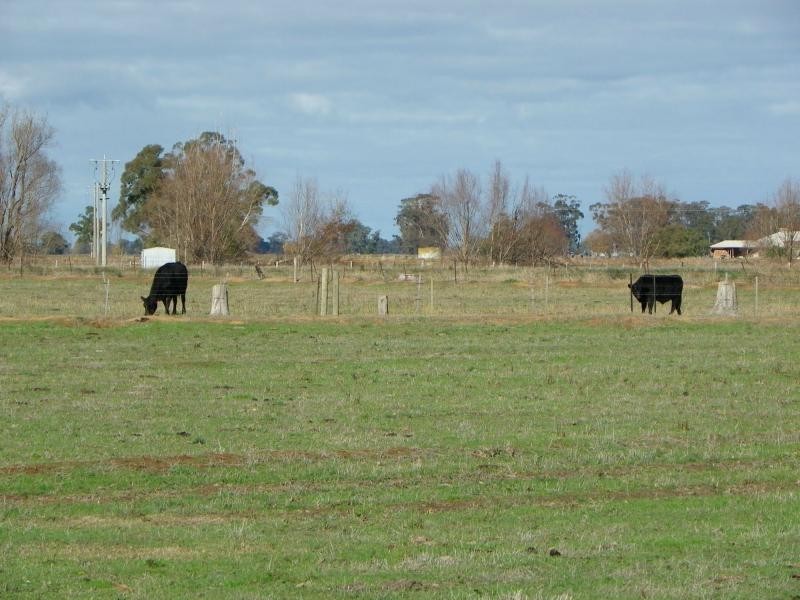 28 Collins Road, Yarroweyah VIC 3644