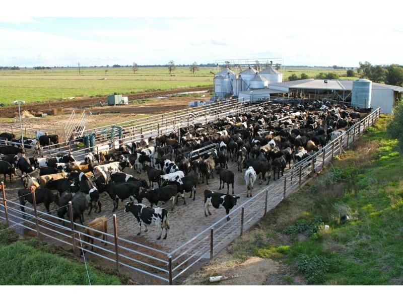 Blighty NSW 2713