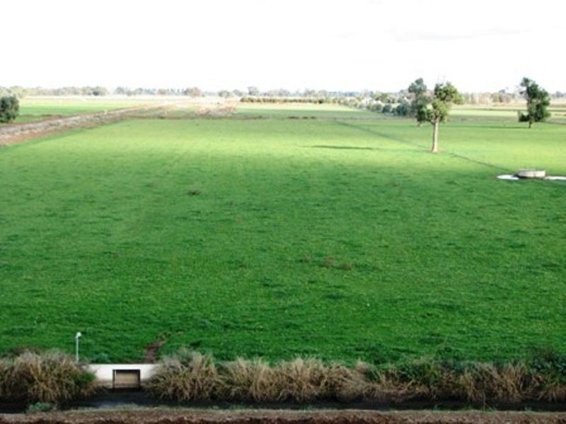 Blighty NSW 2713