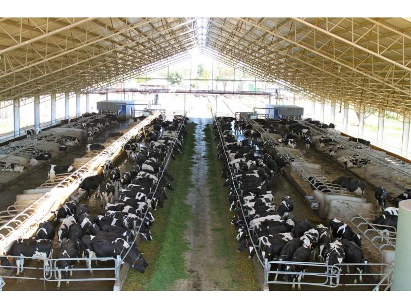 Strathmerton VIC 3641