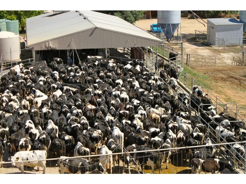 Strathmerton VIC 3641