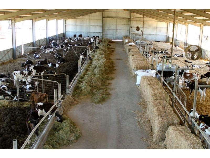 Strathmerton VIC 3641