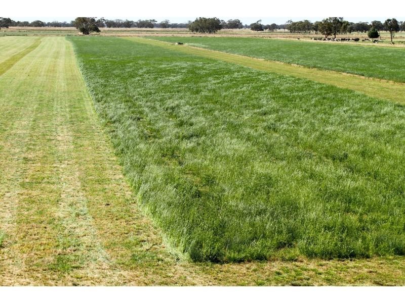 Strathmerton VIC 3641