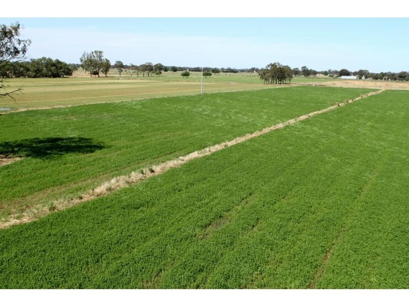 Strathmerton VIC 3641