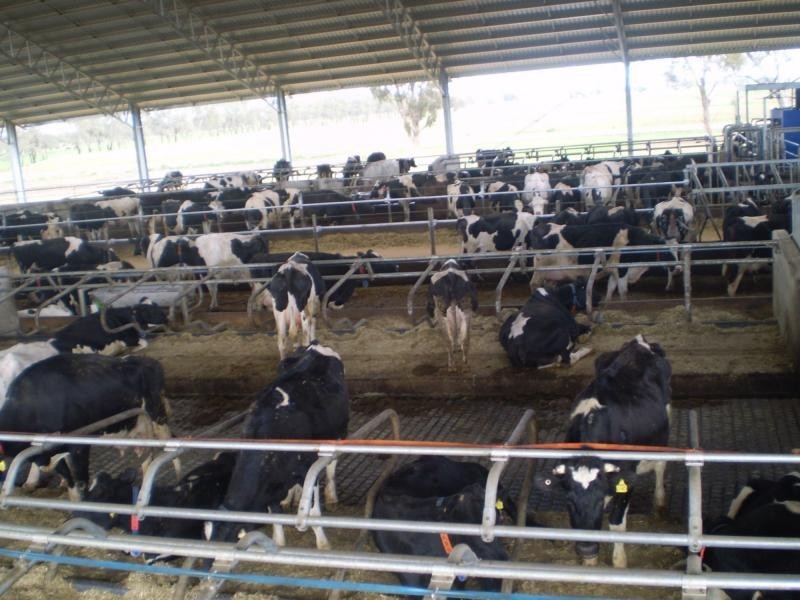 Strathmerton VIC 3641