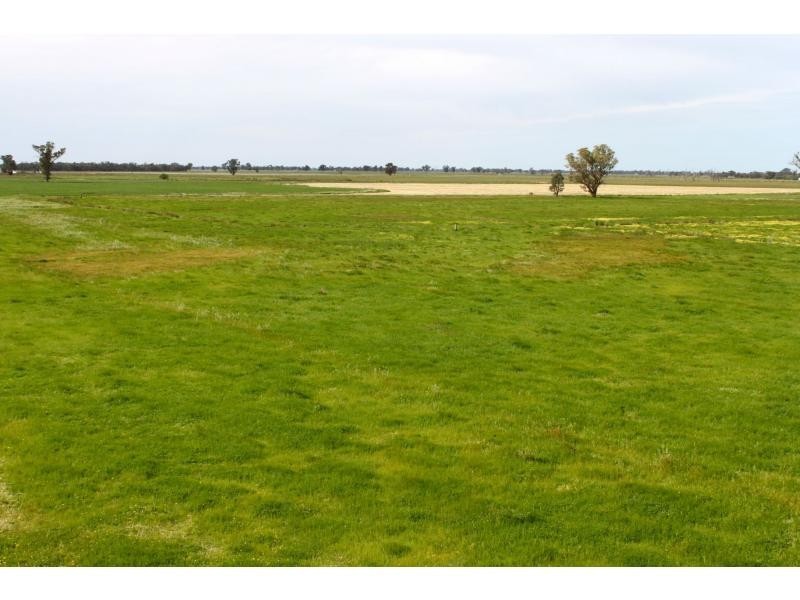 Tocumwal NSW 2714