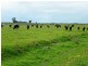 Tocumwal NSW 2714