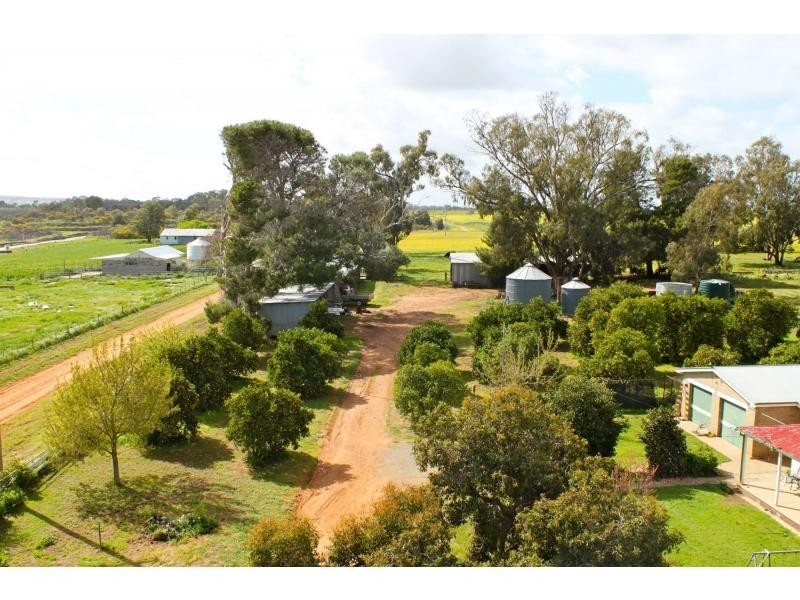 Barooga NSW 3644