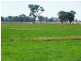 Berrigan NSW 2712
