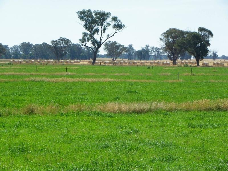Berrigan NSW 2712