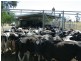 Berrigan NSW 2712