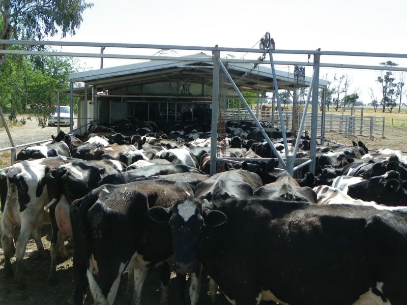 Berrigan NSW 2712