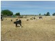 Berrigan NSW 2712