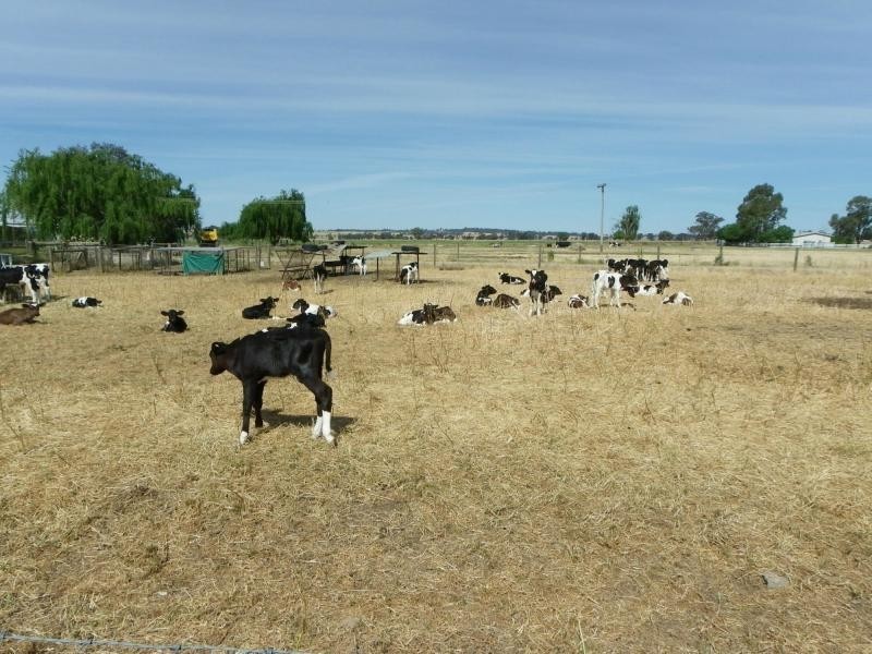 Berrigan NSW 2712