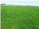 Berrigan NSW 2712