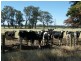 Mooroopna VIC 3629