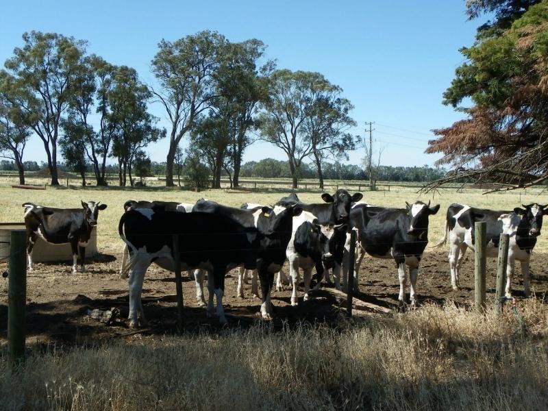 Mooroopna VIC 3629