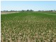 Yarroweyah VIC 3644