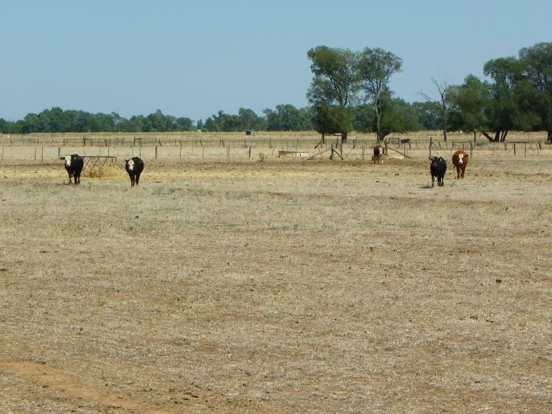 Yarroweyah VIC 3644