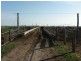 Finley NSW 2713