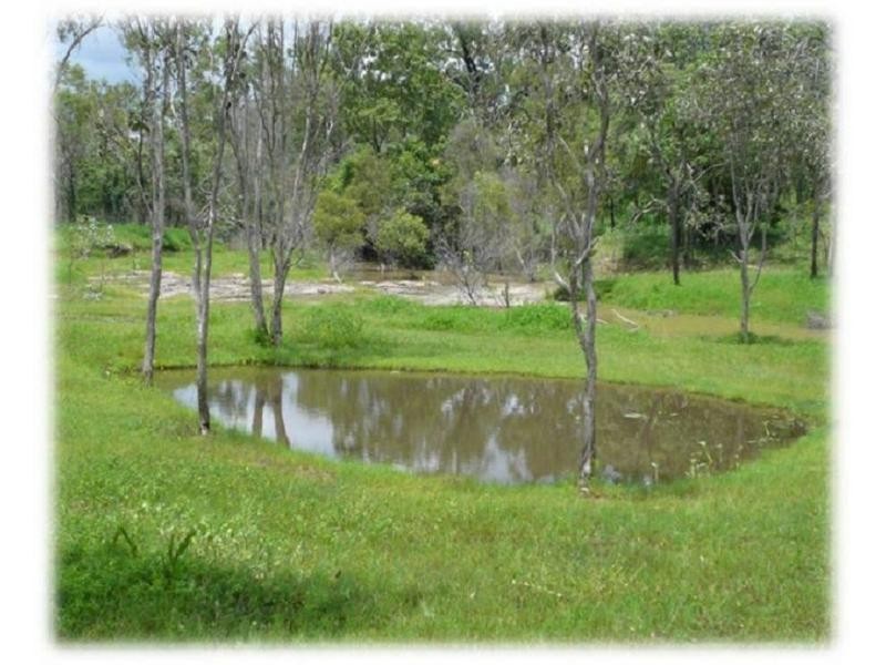 Mareeba QLD 4880