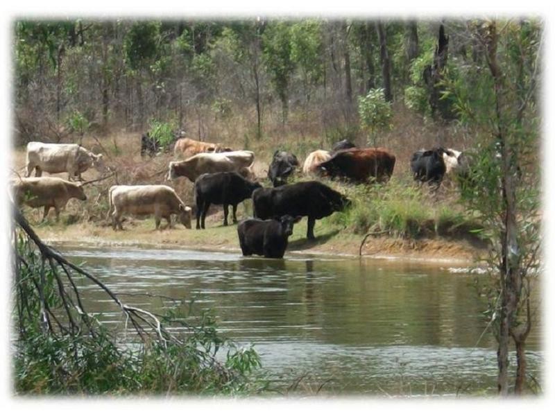Mareeba QLD 4880