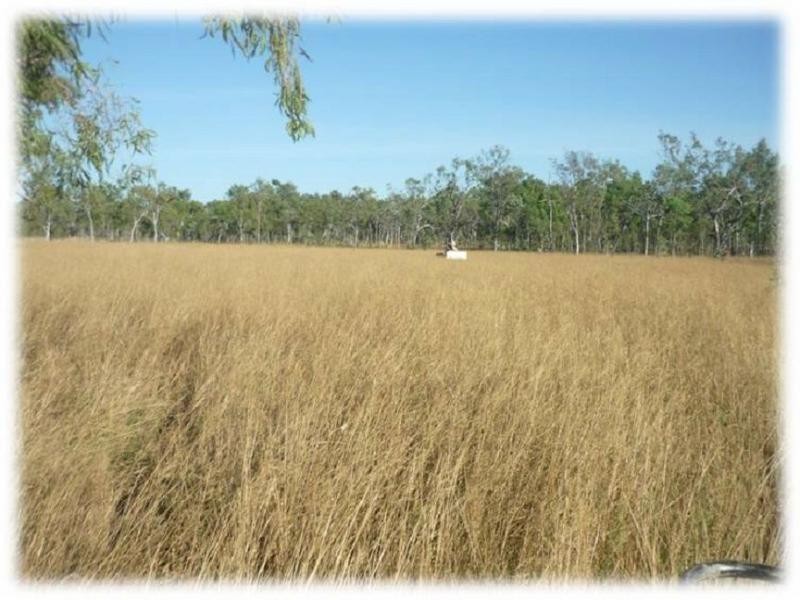 Mareeba QLD 4880