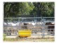 Mareeba QLD 4880