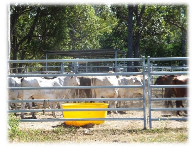 Mareeba QLD 4880