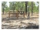 Mareeba QLD 4880