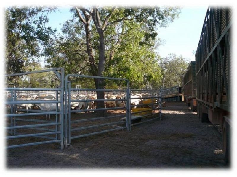 Mareeba QLD 4880