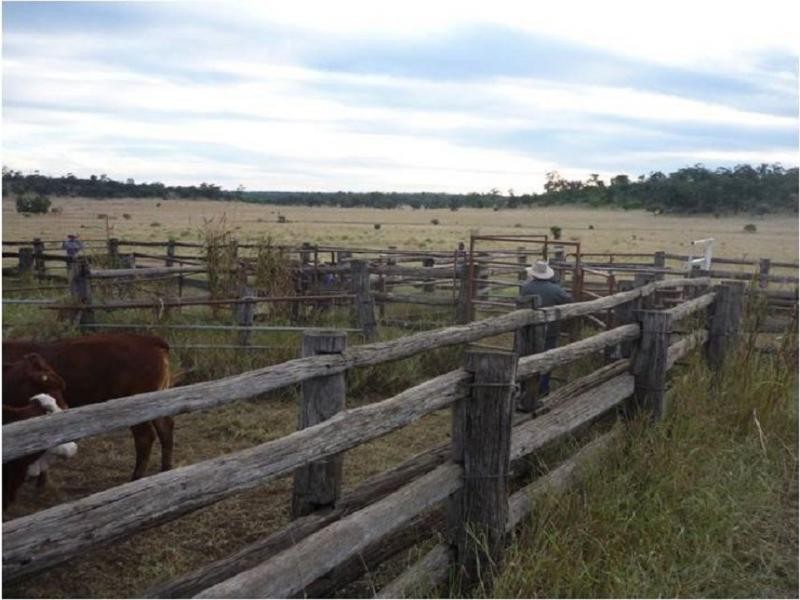Mount Abundance QLD 4455