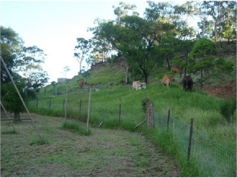 Mount Abundance QLD 4455